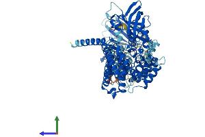 AlphaFold protein structure predicition of Mouse Recombinant Acad11 Protein, UniprotID Q80XL6