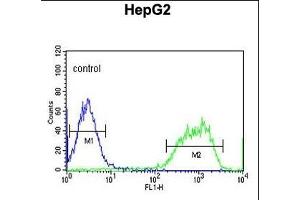 PX Antibody (Center) (ABIN653829 and ABIN2843096) flow cytometric analysis of HepG2 cells (right histogram) compared to a negative control cell (left histogram). (PXMP2 antibody  (AA 40-68))