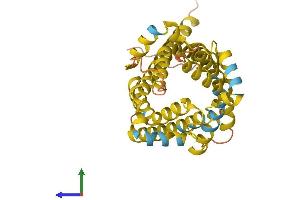 AlphaFold protein structure predicition of Human Recombinant UCP2 Protein, UniprotID P55851 (UCP2 Protein (AA 1-309) (His tag))