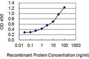 Detection limit for recombinant GST tagged LSM3 is 0. (LSM3 antibody  (AA 1-102))