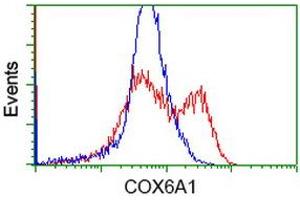 HEK293T cells transfected with either RC210485 overexpress plasmid (Red) or empty vector control plasmid (Blue) were immunostained by anti-COX6A1 antibody (ABIN2452917), and then analyzed by flow cytometry. (COX6A1 antibody)