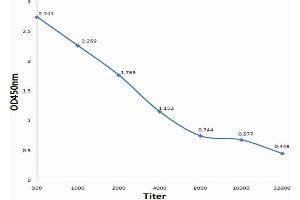 Antigen: 0. (VSV-g Tag antibody)