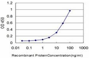 Detection limit for recombinant GST tagged HMGB1 is approximately 0. (HMGB1 antibody  (AA 1-215))