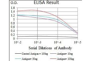 Black line: Control Antigen (100 ng), Purple line: Antigen(10 ng), Blue line: Antigen (50 ng), Red line: Antigen (100 ng), (Cadherin 5 antibody  (AA 29-223))