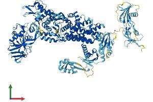 Protein Structure (PS) image for Isoleucyl-tRNA Synthetase (IARS) (AA 1-1262) protein (His tag) (ABIN7555674)