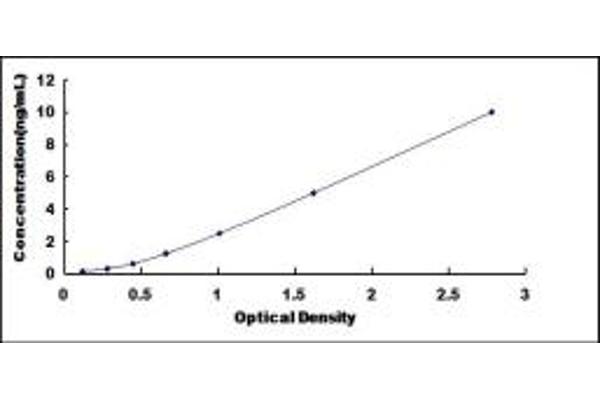 CYP26A1 ELISA Kit