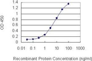 Detection limit for recombinant GST tagged CHAF1A is 0. (CHAF1A antibody  (AA 21-120))