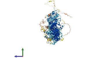 AlphaFold protein structure predicition of Mouse Recombinant Tex10 Protein, UniprotID Q3URQ0 (TEX10 Protein (AA 1-928) (His tag))