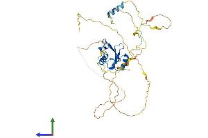 AlphaFold protein structure predicition of Human Recombinant SHF Protein, UniprotID Q7M4L6 (SHF Protein (AA 1-423) (His tag))