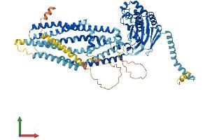 AlphaFold protein structure predicition of Human Recombinant ABCD2 Protein, UniprotID Q9UBJ2 (CCL17 Protein (AA 1-740) (His tag))