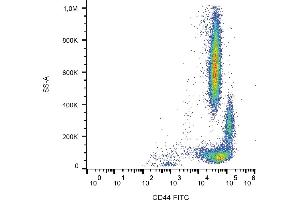Flow cytometry analysis (surface staining) of human peripheral blood using anti-CD44 (MEM-263) FITC conjugate. (CD44 antibody  (FITC))