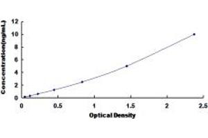 ADAM9 ELISA Kit