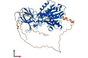 AlphaFold protein structure predicition of Mouse Recombinant Agbl4 Protein, UniprotID Q09LZ8 (AGBL4 Protein (AA 1-540) (His tag))