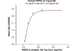 Measured by its binding ability in a functional ELISA. (DPP4 Protein (AA 29-766) (Fc Tag))