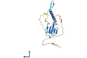 AlphaFold protein structure predicition of Mouse Recombinant Med6 Protein, UniprotID Q921D4 (MED6 Protein (AA 1-246) (His tag))