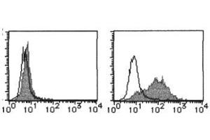 Flow Cytometry (FACS) image for anti-Interleukin 1 Receptor-Like 1 (IL1RL1) antibody (PE) (ABIN1107733) (IL1RL1 antibody  (PE))