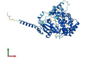 Protein Structure (PS) image for thromboxane A Synthase 1 (Platelet) (TBXAS1) (AA 1-533) protein (His tag) (ABIN7563195)