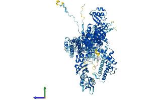 AlphaFold protein structure predicition of Human Recombinant POLR3A Protein, UniprotID O14802
