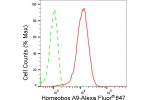Flow cytometric analysis of Homeobox A9 expression in HepG2 cells using Homeobox A9 antibody (ABIN7798991), 1:2,000).