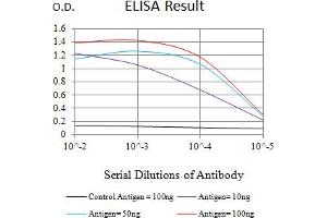 Black line: Control Antigen (100 ng),Purple line: Antigen (10 ng), Blue line: Antigen (50 ng), Red line:Antigen (100 ng) (MYST2 antibody  (AA 1-200))