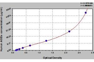 Typical Standard Curve (AGE ELISA Kit)