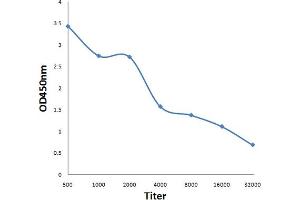Antigen: 0. (INA antibody  (AA 251-350))