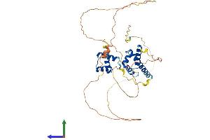 AlphaFold protein structure predicition of Human Recombinant POU4F2 Protein, UniprotID Q12837 (POU4F2 Protein (AA 1-409) (His tag))