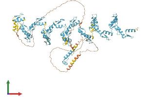 AlphaFold protein structure predicition of Human Recombinant ZNF808 Protein, UniprotID Q8N4W9 (ZNF808 Protein (AA 1-903) (His tag))