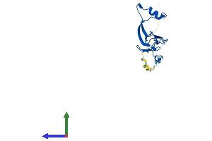 AlphaFold protein structure predicition of Mouse Recombinant Mrpl27 Protein, UniprotID Q99N92