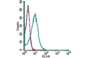Cell surface detection of ASCT2 in live intact human HL-60 promyelocytic leukemia cells: (black line) Cells. (SLC1A5 antibody  (2nd Extracellular Loop))