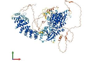 Protein Structure (PS) image for ATP/GTP Binding Protein 1 (AGTPBP1) (AA 1-1226) protein (His tag) (ABIN7553078)