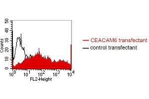 FACS analysis of BOSC23 cells using MUS. (CEACAM5/6 antibody)