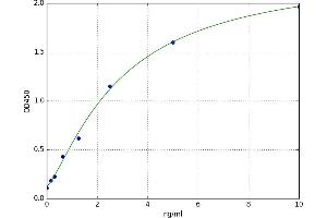 A typical standard curve