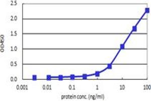 Sandwich ELISA detection sensitivity ranging from 0.