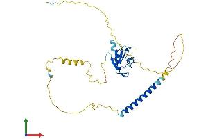 AlphaFold protein structure predicition of Human Recombinant HNRNPCL1 Protein, UniprotID O60812 (HNRNPCL1 Protein (AA 1-293) (His tag))