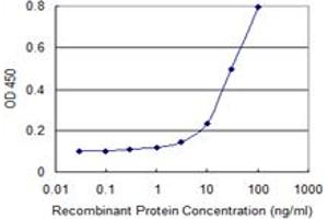 Detection limit for recombinant GST tagged CENPV is 1 ng/ml as a capture antibody. (CENPV antibody  (AA 173-272))