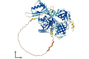 AlphaFold protein structure predicition of Mouse Recombinant Gtpbp2 Protein, UniprotID Q3UJK4 (GTPBP2 Protein (AA 1-602) (His tag))