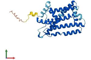 AlphaFold protein structure predicition of Human Recombinant UNC50 Protein, UniprotID Q53HI1 (UNC50 Protein (AA 1-259) (His tag))