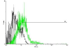 FACS analysis of negative control 293 cells (Black) and CCBP2 expressing 293 cells (Green) using CCBP2 purified MaxPab mouse polyclonal antibody. (CCBP2 antibody  (AA 1-384))