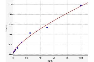 Typical standard curve (Cellular Fibronectin ELISA Kit)