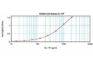 Image no. 3 for anti-Interleukin 17F (IL17F) antibody (ABIN465701) (IL17F antibody)