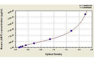 Typical standard curve (LAMP2 ELISA Kit)