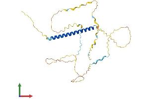 AlphaFold protein structure predicition of Human Recombinant PRR16 Protein, UniprotID Q569H4 (PRR16 Protein (AA 1-304) (His tag))