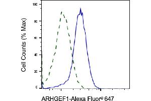 Validation of ARHGEF1 knockdown using flow cytometry. (ARHGEF1 antibody)