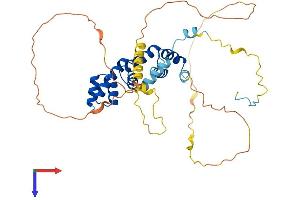 AlphaFold protein structure predicition of Human Recombinant UBAP1L Protein, UniprotID F5GYI3 (UBAP1L Protein (AA 1-381) (His tag))