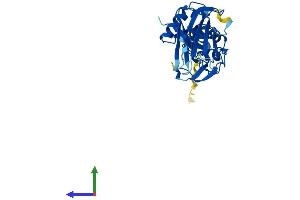 AlphaFold protein structure predicition of Human Recombinant FBXO17 Protein, UniprotID Q96EF6