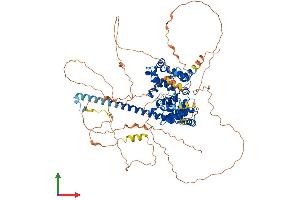 AlphaFold protein structure predicition of Human Recombinant TBC1D12 Protein, UniprotID O60347