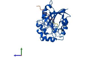 Protein Structure (PS) image for Thiopurine S-Methyltransferase (TPMT) (AA 1-245) protein (His tag) (ABIN7544731)