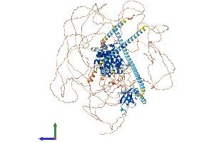 AlphaFold protein structure predicition of Mouse Recombinant Camsap1 Protein, UniprotID A2AHC3 (CAMSAP1 Protein (AA 1-1581) (His tag))