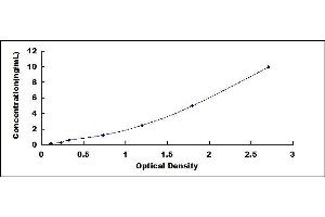 Typical standard curve (DCLK1 ELISA Kit)